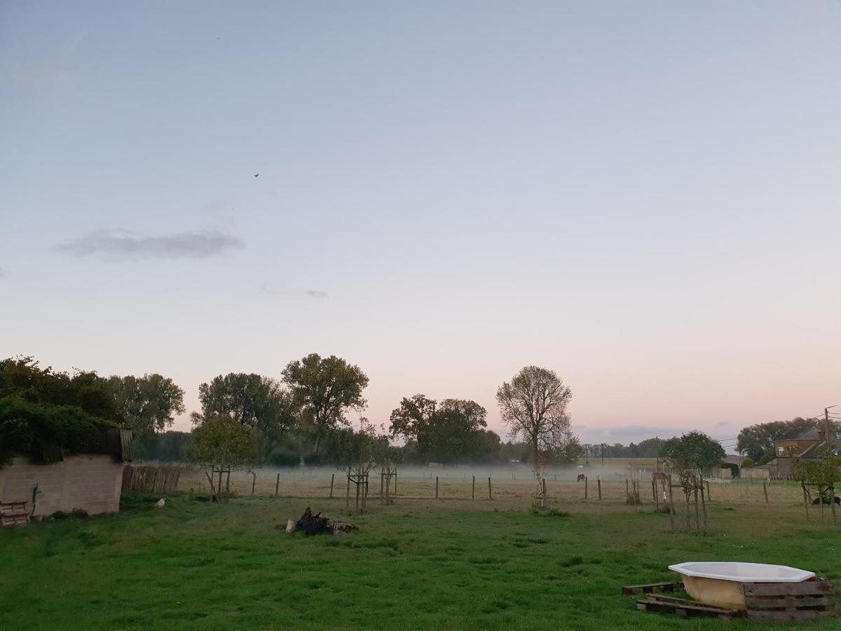 B&B Dekorn Pepingen Exteriör bild