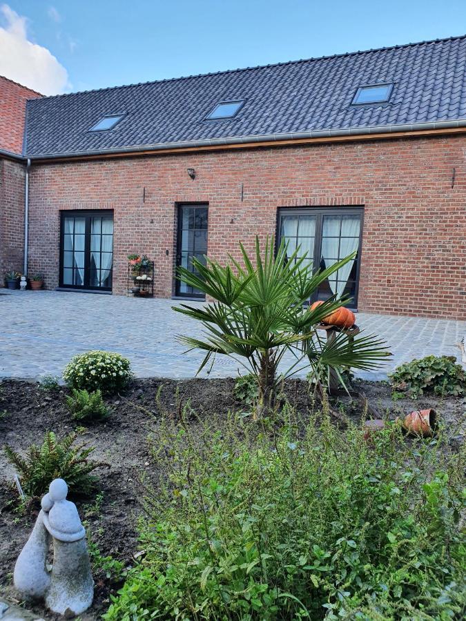 B&B Dekorn Pepingen Exteriör bild